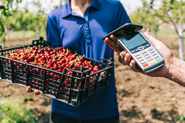 Bring your own merchant account